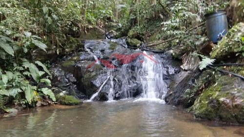 Imagem 1 de 15 de Chácara Em Canelinha - Canelinha, Sc - 129