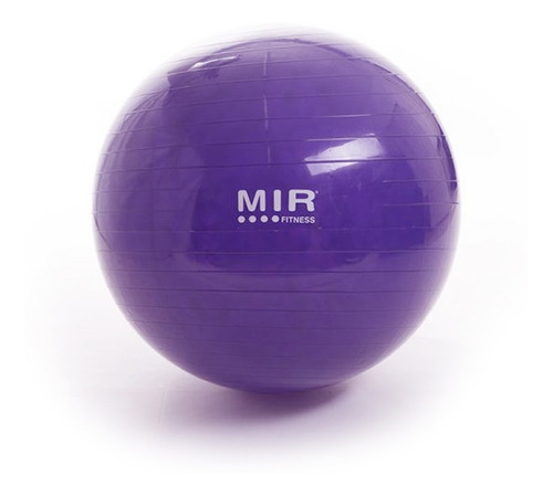 Imagen 1 de 7 de Pelota Esferodinamia 85 Cm Reforzada Mir Violeta Medicinal