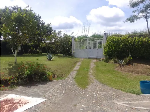 Venta Finca Productiva Montenegro Pueblo Tapao - 11 Cuadras