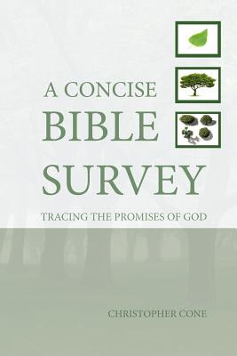 Libro A Concise Bible Survey: Tracing The Promises Of God...