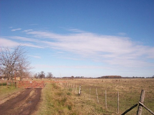Terreno En Venta En Praderas De Lujan