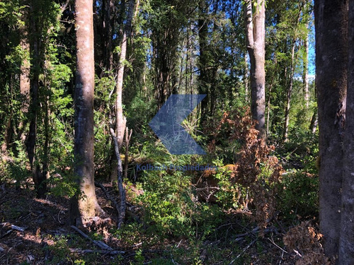 Terreno En Venta En Cisnes