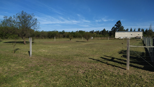 Terreno En Federación (entre Ríos)