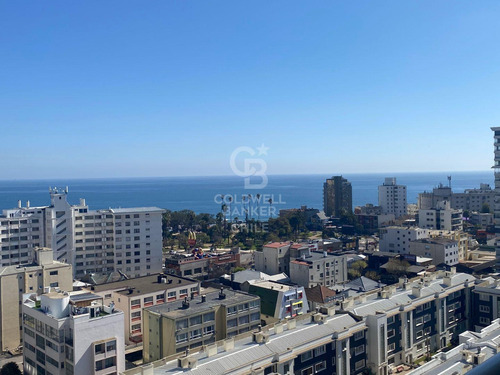 Gran Departamento Con Vista Poniente, Amoblado