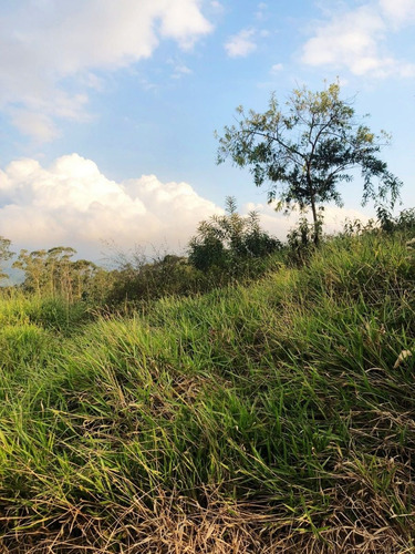 Imagem 14 de 28 de Sb- Terreno Magnifico! 600 M²