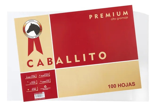 Pack 100 Hojas De Dibujo 1/8 Caballito Premium