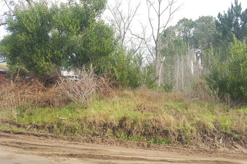 Imagen 4 de 5 de Lote Ubicado En Las Gaviotas Esquina Sobre Elevado Y Forestado