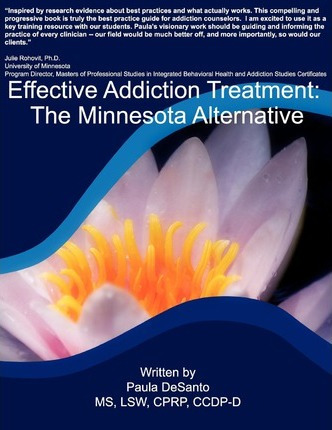 Libro Effective Addiction Treatment - Ms Paula L Desanto