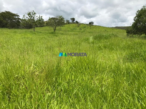 Imagem 11 de 15 de Fazenda - Zona Rural - Ref: 5020 - V-mta5020