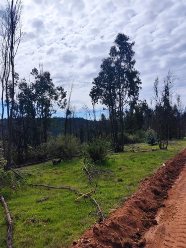 Terreno En Venta En Los Pinos De Reñaca
