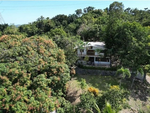 Venta De Finca De 50 Tareas En Cambita, San Cristóbal.