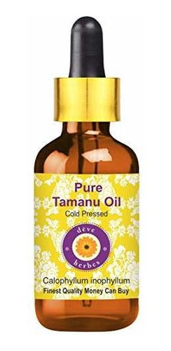 Aromaterapia Aceites - Deve Herbes Pure Tamanu Oil (calophyl