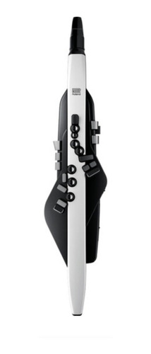 Roland Aerophone Ae-20 Instrumento Viento Digital