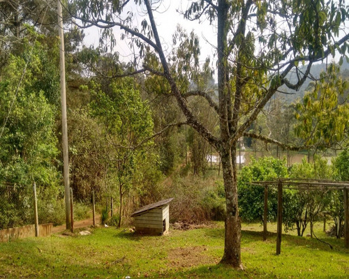 Chácara 5.000 M² - Lomba Grande - Novo Hamburgo - Rs - 1588 - 32420109