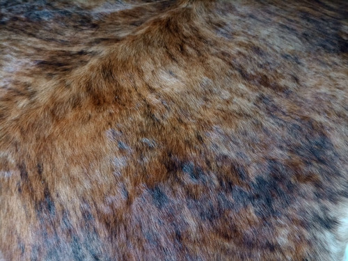 Alfombra De Cuero De Vaca Curtido Con Pelos 1028 2.1 M 1.8 M Natural