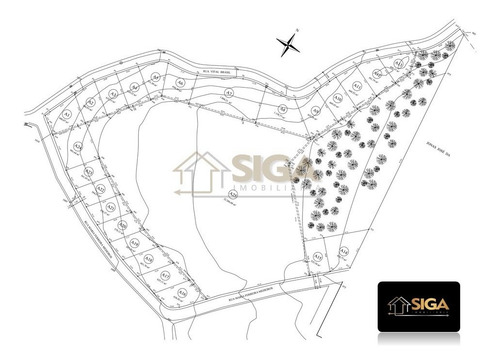 Imagem 12 de 12 de Lotes Exclusivos No Cônego - Lote 24 - 244