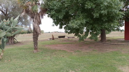 Hermoso Campo De 5,6 Hectareas En La Violeta (partido De Pergamino)
