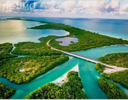 Imagen 1 de 12 de Lotes H4en Tulum Lotes Habitacionales En Venta En Tulum