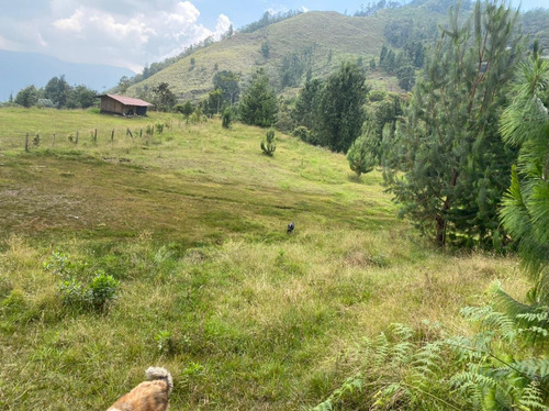 Venta Lote En La Catedral Envigado - La Miel 3.790 Mts2