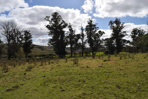 Chacra Venta 23 Hectareas Minas Arroyo Vista