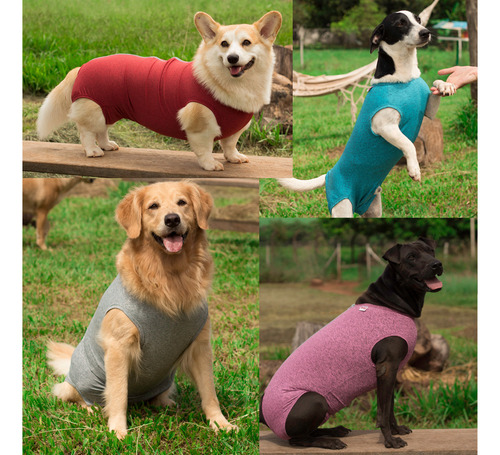 Roupa Para Cachorro Com Proteção Solar Uv 50+ Tam. 11 Ao 16