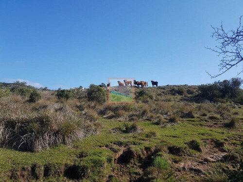 Campo 91.3 Hás La Coronilla Aiguá