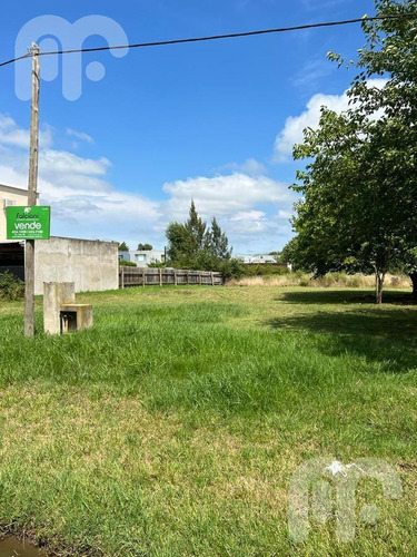 Imagen 3 de 8 de Terreno - City Bell