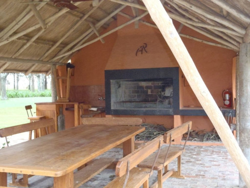 Imagen 8 de 16 de Campo En Alquiler En San Antonio De Areco