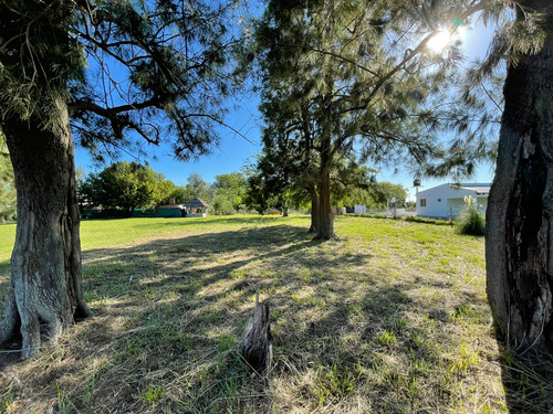 Venta Lote-bavio-magdalena-barrio Los Naranjos
