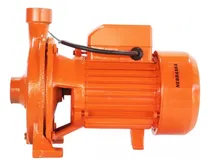 Comprar Bomba De Agua Centrifuga 3\u002F4 Hp 550w 23 Mts 75l\u002Fmin Nebraska