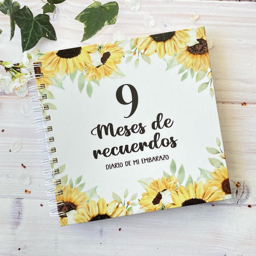 Diario Agenda 9 Meses