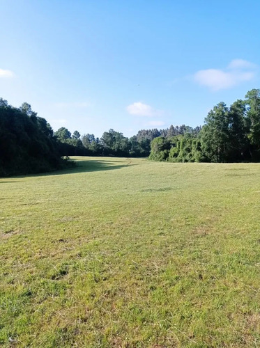 Venta Hermosa Parcela En Sector Rofuco Alto, La Unión