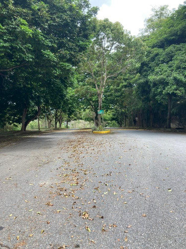 Venta Lujoso Y Confortable Ph En Oripoto 436m2