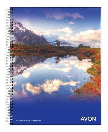 5 Cuadernos Espiral 16x21 Avon 84 Hojas Rayado Cuadriculado