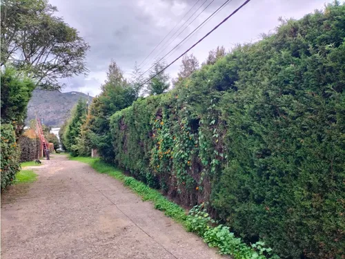 Lote Campestre Con Licencia En Venta - Vereda La Balsa - Chía