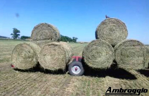 Transportador De 4/6, 6/8 Y De 8/12 Rollos Ambroggio