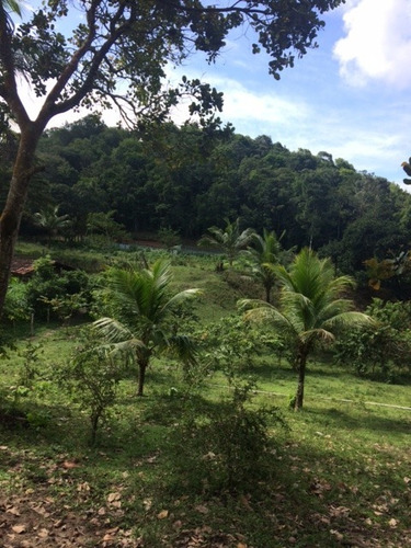 Imagem 15 de 15 de Mais Qualidade De Vida P/você Granja 2,5hec C/riacho Perene Na Guabiraba, Aceito Carro - Ch00026 - 68728098