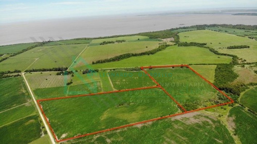 Imagen 10 de 13 de Martin Chico, Colonia - Campo Agricola Con Vista Al Rio De La Plata