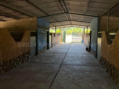 Finca En Venta San Sebastian De Los Reyes Edo Aragua 24-19946 Jja
