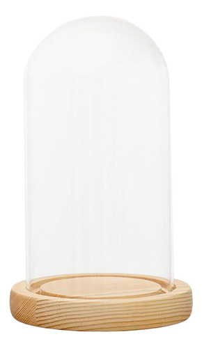 Soporte De Cubierta De Cúpula De Vidrio Transparente Con