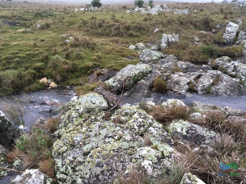 Imagen 4 de 12 de 193 Has Sobre Ruta 12, Arroyo, Monte Nativo A 15 Kms De P. Edén - Zona Rural
