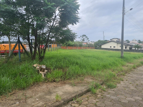 Imagem 2 de 4 de Terreno - Primeiro De Maio - Ref: 1684 - V-1684