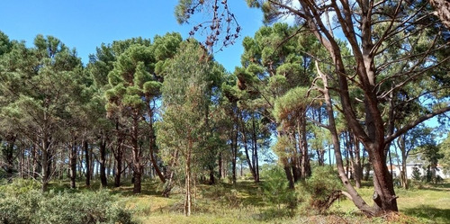 Imagen 4 de 17 de Lote En Venta En La Barra (ref: Atm-6651)