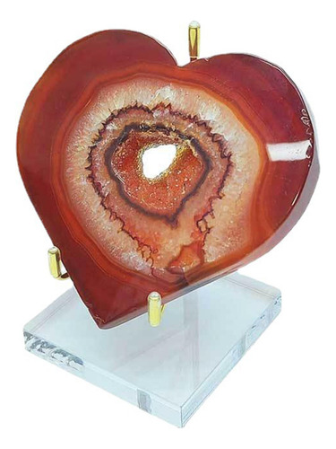 Soporte De Exhibición De Artefactos Minerales Dorado