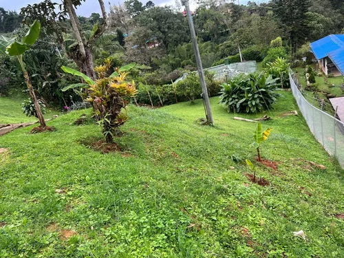Vendo Finca Ganadera En Restrepo Valle
