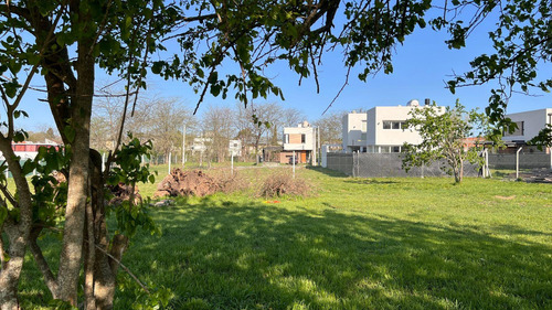 Lotes En Venta San Carlos, La Plata 149 Y 42, La Plata - 9.85 X 28.0m