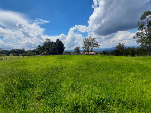 Imagem 3 de 14 de Terreno Em São Roque Próximo A Mercados Padarias, Muito Mais