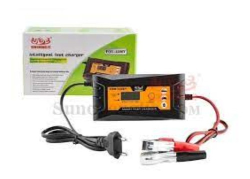 Cargador De Batería Para Carros (110v -220v) Para Baterías 