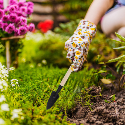 1 Juego De Herramientas Para Plantas En Macetas, Suculentas