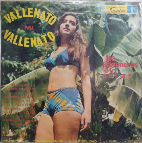 Los Playoneros Del Cesar - Vallenato Mi Vallenato